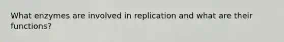 What enzymes are involved in replication and what are their functions?