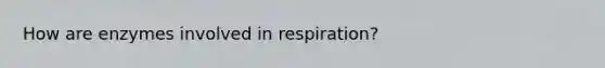 How are enzymes involved in respiration?