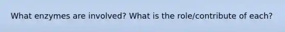 What enzymes are involved? What is the role/contribute of each?