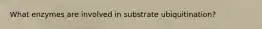 What enzymes are involved in substrate ubiquitination?