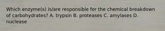 Which enzyme(s) is/are responsible for the chemical breakdown of carbohydrates? A. trypsin B. proteases C. amylases D. nuclease