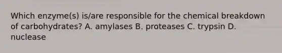 Which enzyme(s) is/are responsible for the chemical breakdown of carbohydrates? A. amylases B. proteases C. trypsin D. nuclease