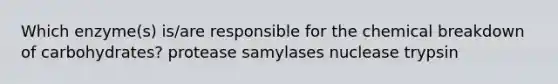 Which enzyme(s) is/are responsible for the chemical breakdown of carbohydrates? protease samylases nuclease trypsin