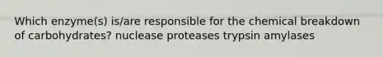 Which enzyme(s) is/are responsible for the chemical breakdown of carbohydrates? nuclease proteases trypsin amylases