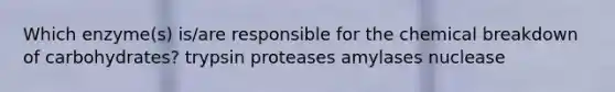 Which enzyme(s) is/are responsible for the chemical breakdown of carbohydrates? trypsin proteases amylases nuclease