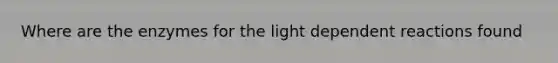 Where are the enzymes for the light dependent reactions found