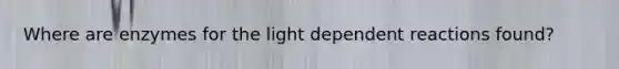 Where are enzymes for the light dependent reactions found?