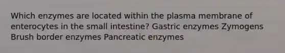 Which enzymes are located within the plasma membrane of enterocytes in the small intestine? Gastric enzymes Zymogens Brush border enzymes Pancreatic enzymes