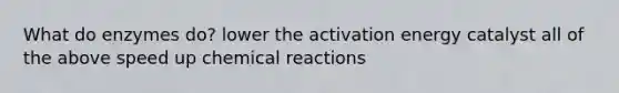 What do enzymes do? lower the activation energy catalyst all of the above speed up chemical reactions