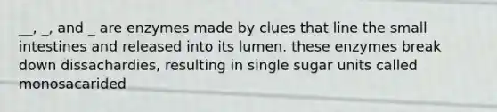 __, _, and _ are enzymes made by clues that line the small intestines and released into its lumen. these enzymes break down dissachardies, resulting in single sugar units called monosacarided