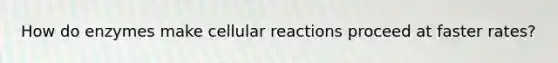 How do enzymes make cellular reactions proceed at faster rates?