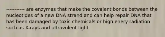 ----------- are enzymes that make the <a href='https://www.questionai.com/knowledge/kWply8IKUM-covalent-bonds' class='anchor-knowledge'>covalent bonds</a> between the nucleotides of a new DNA strand and can help repair DNA that has been damaged by toxic chemicals or high enery radiation such as X-rays and ultravolent light