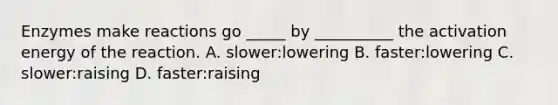 Enzymes make reactions go _____ by __________ the activation energy of the reaction. A. slower:lowering B. faster:lowering C. slower:raising D. faster:raising