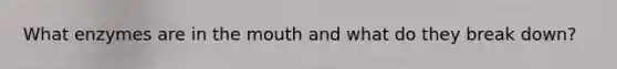 What enzymes are in the mouth and what do they break down?