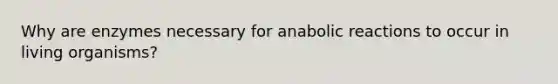 Why are enzymes necessary for anabolic reactions to occur in living organisms?