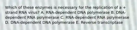 Which of these enzymes is necessary for the replication of a + strand RNA virus? A. RNA-dependent DNA polymerase B. DNA-dependent RNA polymerase C. RNA-dependent RNA polymerase D. DNA-dependent DNA polymerase E. Reverse transcriptase