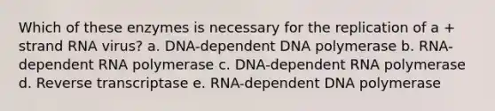 Which of these enzymes is necessary for the replication of a + strand RNA virus? a. DNA-dependent DNA polymerase b. RNA-dependent RNA polymerase c. DNA-dependent RNA polymerase d. Reverse transcriptase e. RNA-dependent DNA polymerase