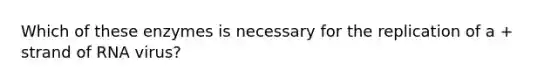 Which of these enzymes is necessary for the replication of a + strand of RNA virus?