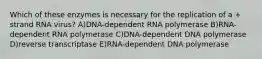 Which of these enzymes is necessary for the replication of a + strand RNA virus? A)DNA-dependent RNA polymerase B)RNA-dependent RNA polymerase C)DNA-dependent DNA polymerase D)reverse transcriptase E)RNA-dependent DNA polymerase