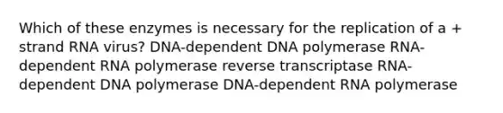 Which of these enzymes is necessary for the replication of a + strand RNA virus? DNA-dependent DNA polymerase RNA-dependent RNA polymerase reverse transcriptase RNA-dependent DNA polymerase DNA-dependent RNA polymerase