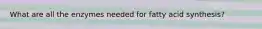 What are all the enzymes needed for fatty acid synthesis?