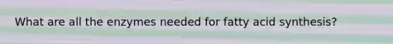 What are all the enzymes needed for fatty acid synthesis?