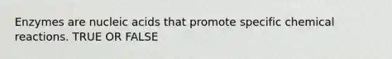 Enzymes are nucleic acids that promote specific <a href='https://www.questionai.com/knowledge/kc6NTom4Ep-chemical-reactions' class='anchor-knowledge'>chemical reactions</a>. TRUE OR FALSE