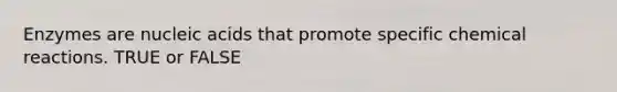 Enzymes are nucleic acids that promote specific chemical reactions. TRUE or FALSE