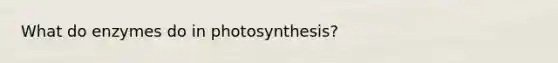 What do enzymes do in photosynthesis?