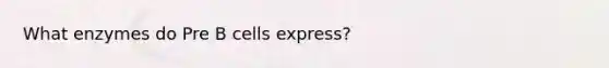 What enzymes do Pre B cells express?