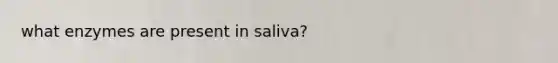 what enzymes are present in saliva?