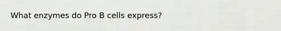 What enzymes do Pro B cells express?