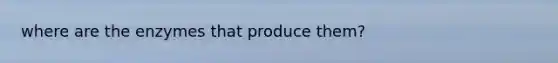 where are the enzymes that produce them?