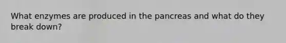 What enzymes are produced in the pancreas and what do they break down?