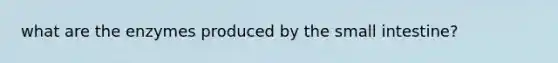 what are the enzymes produced by the small intestine?
