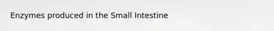 Enzymes produced in the Small Intestine