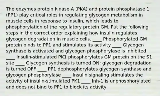 The enzymes protein kinase A (PKA) and protein phosphatase 1 (PP1) play critical roles in regulating glycogen metabolism in muscle cells in response to insulin, which leads to phosphorylation of the regulatory protein GM. Put the following steps in the correct order explaining how insulin regulates glycogen degradation in muscle cells. ____ Phosphorylated GM protein binds to PP1 and stimulates its activity ____ Glycogen synthase is activated and glycogen phosphorylase is inhibited ____ Insulin-stimulated PK1 phosphorylates GM protein on the S1 site ____ Glycogen synthesis is turned ON; glycogen degradation is turned OFF ____ PP1 dephosphorylates glycogen synthase and glycogen phosphorylase ____ Insulin signaling stimulates the activity of insulin-stimulated PK1 ____ Inh-1 is unphosphorylated and does not bind to PP1 to block its activity