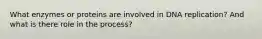 What enzymes or proteins are involved in DNA replication? And what is there role in the process?
