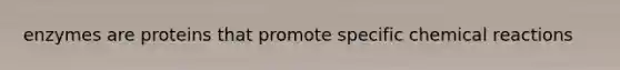 enzymes are proteins that promote specific chemical reactions