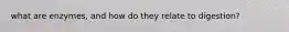 what are enzymes, and how do they relate to digestion?