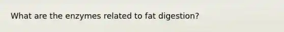 What are the enzymes related to fat digestion?