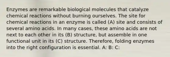 Enzymes are remarkable biological molecules that catalyze chemical reactions without burning ourselves. The site for chemical reactions in an enzyme is called (A) site and consists of several amino acids. In many cases, these amino acids are not next to each other in its (B) structure, but assemble in one functional unit in its (C) structure. Therefore, folding enzymes into the right configuration is essential. A: B: C: