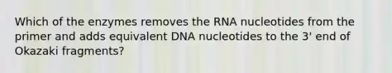 Which of the enzymes removes the RNA nucleotides from the primer and adds equivalent DNA nucleotides to the 3' end of Okazaki fragments?