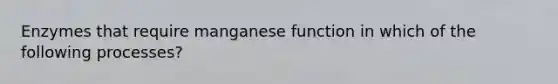 Enzymes that require manganese function in which of the following processes?