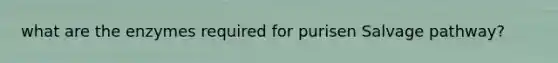 what are the enzymes required for purisen Salvage pathway?