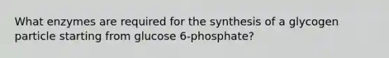 What enzymes are required for the synthesis of a glycogen particle starting from glucose 6-phosphate?