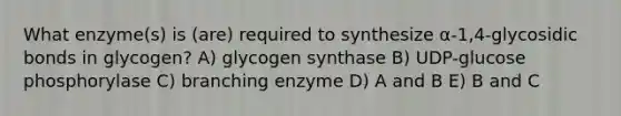 What enzyme(s) is (are) required to synthesize α-1,4-glycosidic bonds in glycogen? A) glycogen synthase B) UDP-glucose phosphorylase C) branching enzyme D) A and B E) B and C