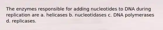 The enzymes responsible for adding nucleotides to DNA during replication are a. helicases b. nucleotidases c. DNA polymerases d. replicases.