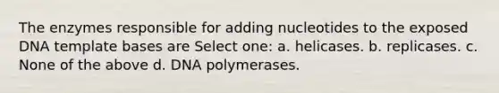 The enzymes responsible for adding nucleotides to the exposed DNA template bases are Select one: a. helicases. b. replicases. c. None of the above d. DNA polymerases.