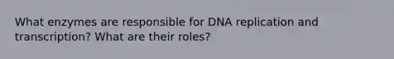 What enzymes are responsible for <a href='https://www.questionai.com/knowledge/kofV2VQU2J-dna-replication' class='anchor-knowledge'>dna replication</a> and transcription? What are their roles?